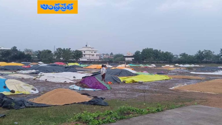 ADB | భారీ వర్షం.. కొనుగోలు కేంద్రాల్లో తడిసిన ధాన్యం