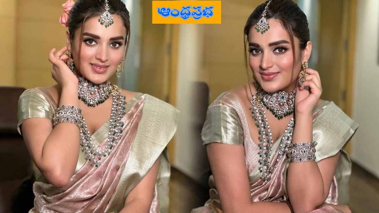 Nidhhi Agerwal | అందాల నిధి….