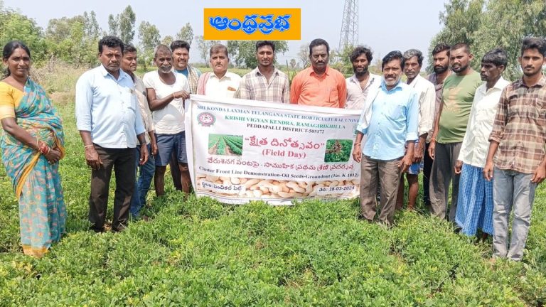 ADB –  యాసంగికి అనువుగా వేరుశ‌నగ …..