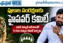 Pawan Kalyan |నల్లమల పులుల భద్రతపై రాష్ట్ర ప్రభుత్వ ప్రత్యేక దృష్టి