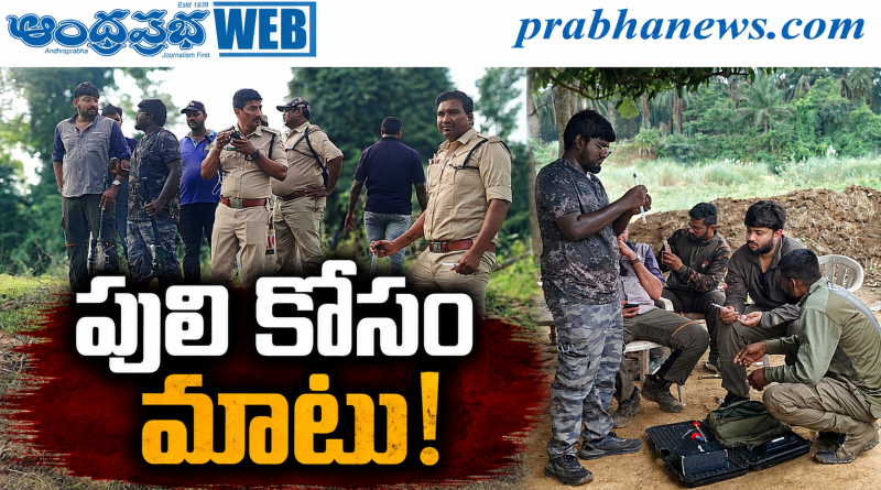 ముప్పు తిప్పలు పెడుతున్న బెంగాల్ టైగర్