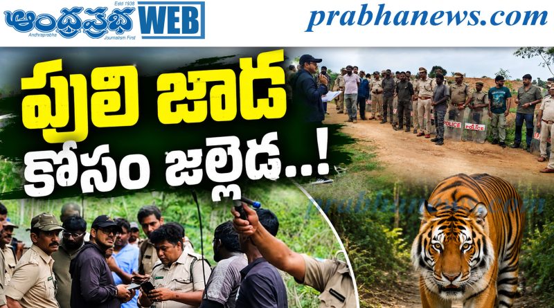 పులి కోసం రంగంలోకి నిపుణుల ప్రత్యేక బృందాలు