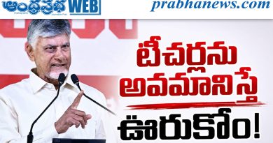 కలిదిండి సభలో ముఖ్యమంత్రి చంద్రబాబు నాయుడు ఫైర్