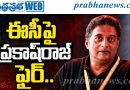 ఈసీ అధికారులు పచ్చి అబద్ధాలు చెప్తున్నారు