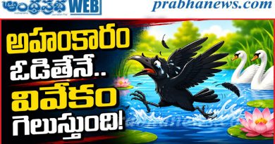 కాకి-హంస ఉపాఖ్యానం.. అహంకారం నుంచి ఆత్మవిచారణ వైపు ప్రయాణం