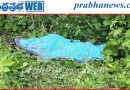 మహిళ దారుణహత్య…
