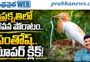 ప్రకృతి ప్రేమికుడు జోగినిపల్లి సంతోష్‌కుమార్‌ కెమెరాకు చిక్కిన అద్భుత దృశ్యం..