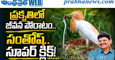 ప్రకృతి ప్రేమికుడు జోగినిపల్లి సంతోష్‌కుమార్‌ కెమెరాకు చిక్కిన అద్భుత దృశ్యం..