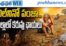 ఎల్‌నినో పంజా.. జిల్లాలో కరువు ఛాయలు