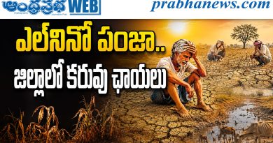 ఎల్‌నినో పంజా.. జిల్లాలో కరువు ఛాయలు