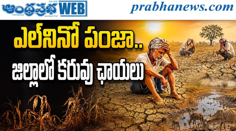 ఎల్‌నినో పంజా.. జిల్లాలో కరువు ఛాయలు