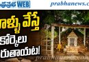 నాగ పంచమి సందర్భంగా ఆంధ్రప్రభ ప్రత్యేక కథనం