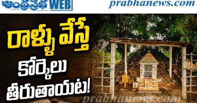 నాగ పంచమి సందర్భంగా ఆంధ్రప్రభ ప్రత్యేక కథనం