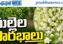 ప్రపంచంలో నంబర్‌ వన్‌.. ఏలూరు జిల్లాలో మాత్రం అంతంతే!