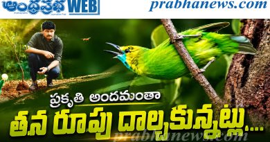 సంతోష్ సండే క్లిక్స్‌..