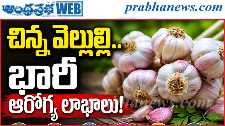 చిన్న రెబ్బే.. పెద్ద ప్రయోజనాలు.. వెల్లుల్లితో ఆరో