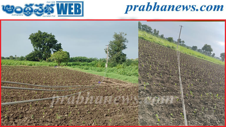 పంట చేనులో విరిగిన విద్యుత్‌ స్తంభం