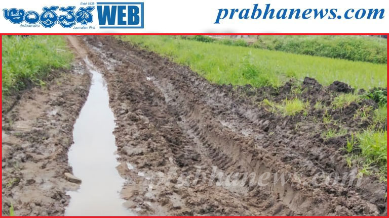 బురదమయంగా గుడివాడ దారి