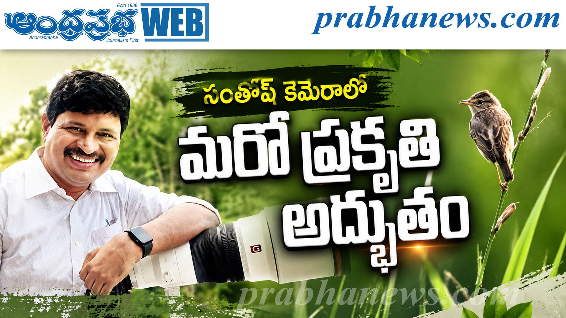 పచ్చని ప్రకృతి మధ్య చిన్నారి పక్షి అందాలు..