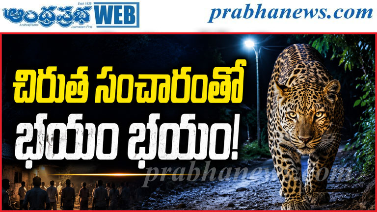వెంకంపల్లి శివారులో చిరుత సంచారం.. భయాందోళనలో గ్రా