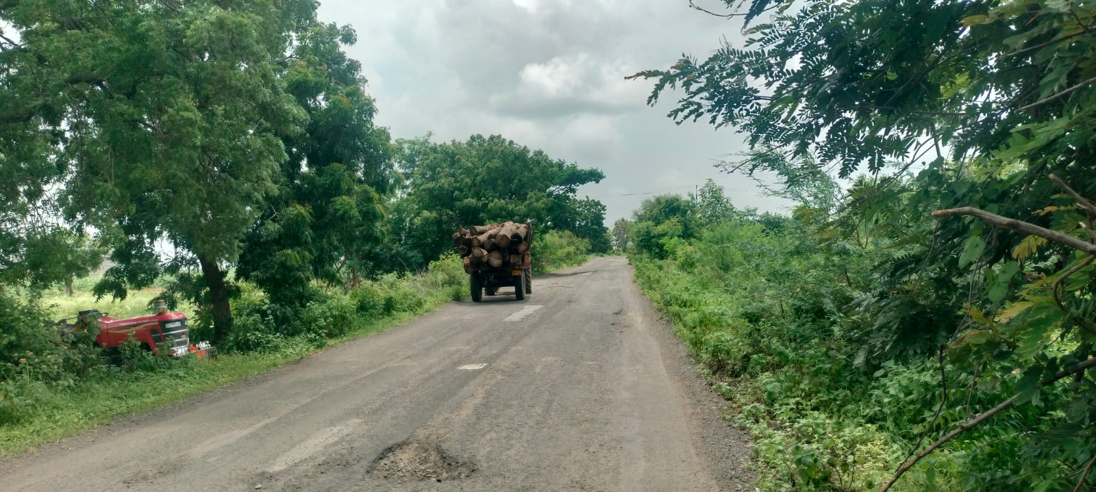 అడవుల్లో వనమేధం.. రంపాలతో చెట్ల నరికివేత