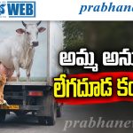 Viral Video |ఈ వీడియో చూస్తే మనసు కదిలిపోతుంది!