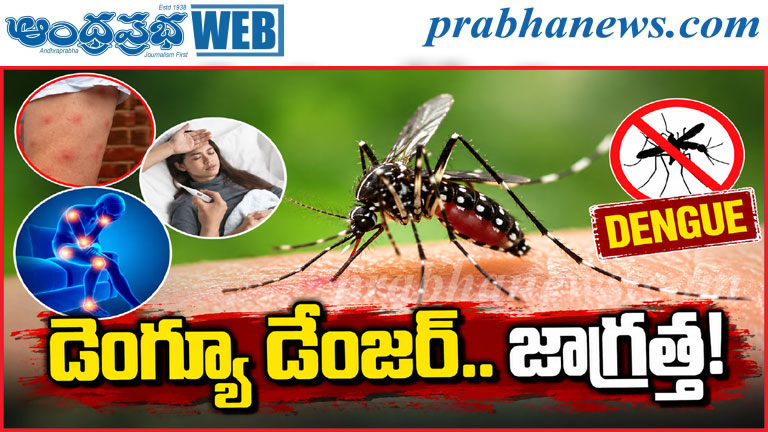 డెంగ్యూ పట్ల అప్రమత్తంగా ఉండండి.. ఈ లక్షణాలు కనిపి