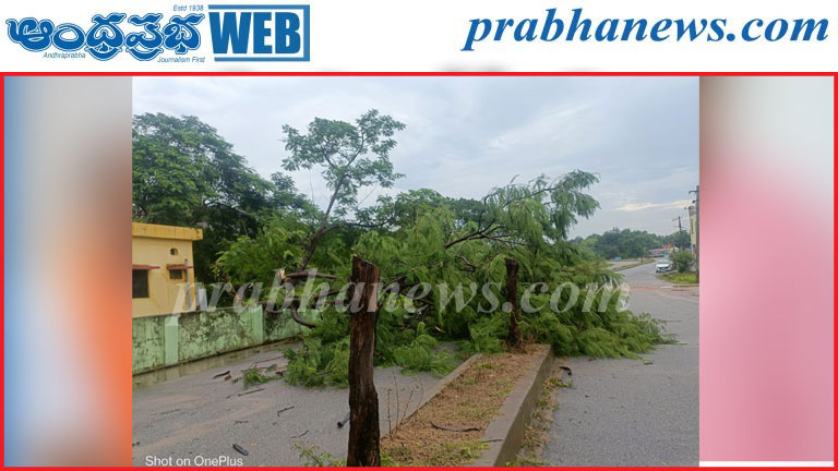 భారీ వర్షానికి రహదారిపై కూలిన చెట్టు