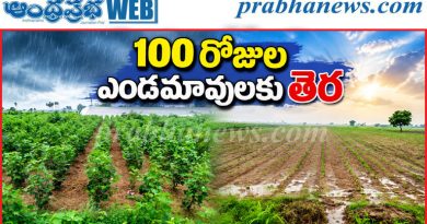 Palnadu-rains |