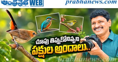 brs leader santhosh | అల‌రిస్తున్న సంతోష్ సండే క్లిక్స్‌